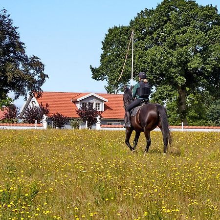 Mollegade 1 Holiday House Nordborg Kommune Exterior foto